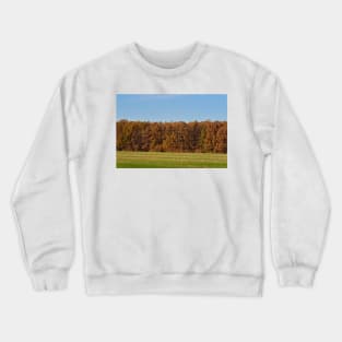 Oak forest in the autumn Crewneck Sweatshirt